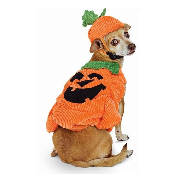 Boutique Pumpkin Halloween Costume For Dogs, XXL, NEW NWT - Picture 7 of 8
